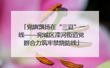 党旗飘扬在“三夏”一线——宛城区溧河街道党群合力筑牢禁烧防线