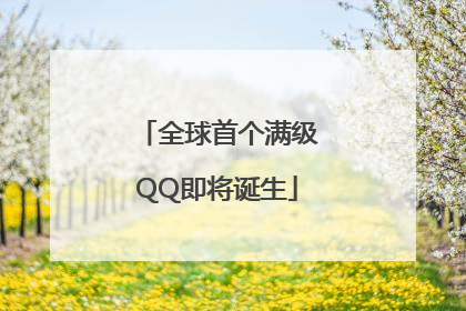 全球首个满级QQ即将诞生