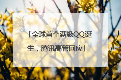 全球首个满级QQ诞生，腾讯高管回应