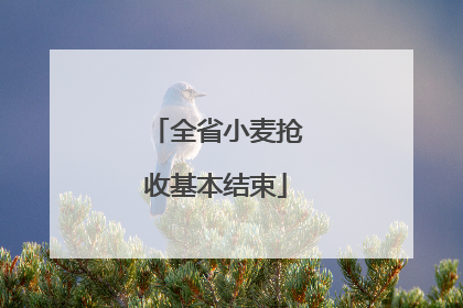 全省小麦抢收基本结束