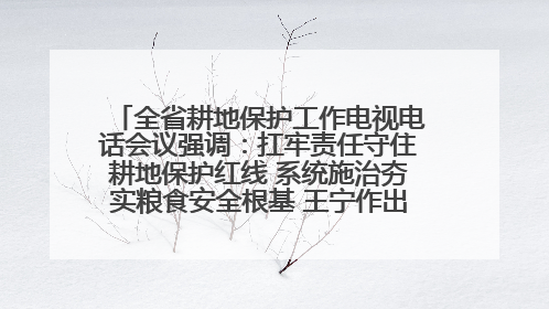 全省耕地保护工作电视电话会议强调：扛牢责任守住耕地保护红线 系统施治夯实粮食安全根基 王宁作出批示 王予波出席并讲话