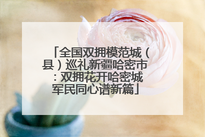 全国双拥模范城（县）巡礼新疆哈密市：双拥花开哈密城 军民同心谱新篇