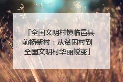 全国文明村镇临邑县前杨新村：从贫困村到全国文明村华丽蜕变