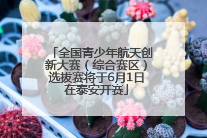 全国青少年航天创新大赛（综合赛区）选拔赛将于6月1日在泰安开赛