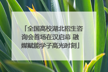 全国高校湖北招生咨询会首场在汉启幕 融媒赋能学子高光时刻