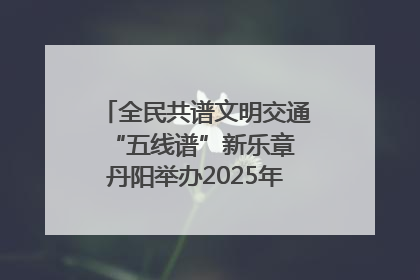 全民共谱文明交通“五线谱”新乐章 丹阳举办2025年“文明交通 同心同行”主题宣传活动