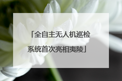 全自主无人机巡检系统首次亮相夷陵