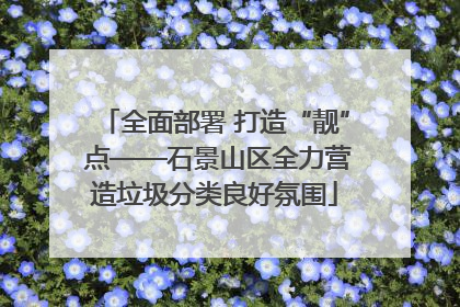 全面部署 打造“靓” 点——石景山区全力营造垃圾分类良好氛围