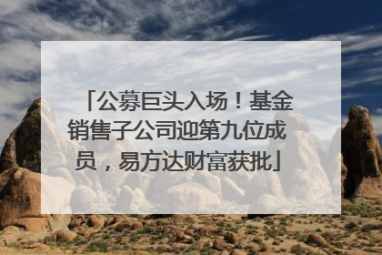 公募巨头入场！基金销售子公司迎第九位成员，易方达财富获批
