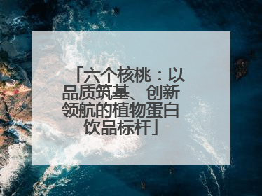 六个核桃：以品质筑基、创新领航的植物蛋白饮品标杆
