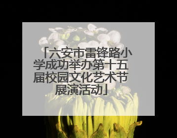 六安市雷锋路小学成功举办第十五届校园文化艺术节展演活动