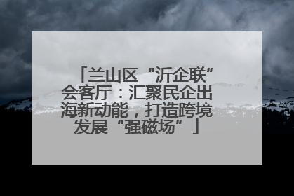 兰山区“沂企联”会客厅：汇聚民企出海新动能，打造跨境发展“强磁场”