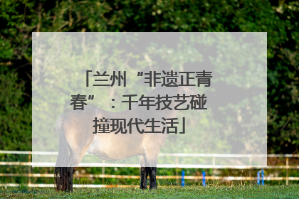 兰州“非遗正青春”：千年技艺碰撞现代生活