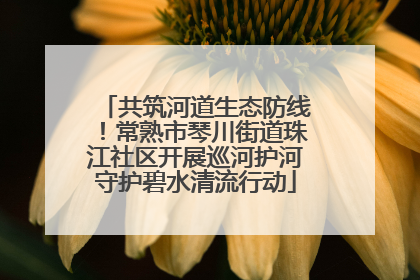 共筑河道生态防线！常熟市琴川街道珠江社区开展巡河护河守护碧水清流行动