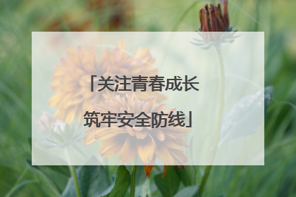关注青春成长 筑牢安全防线