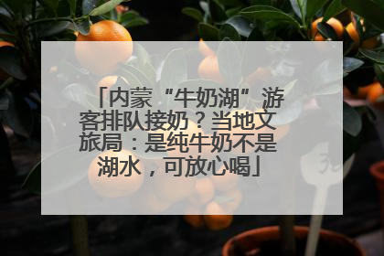 内蒙“牛奶湖”游客排队接奶？当地文旅局：是纯牛奶不是湖水，可放心喝