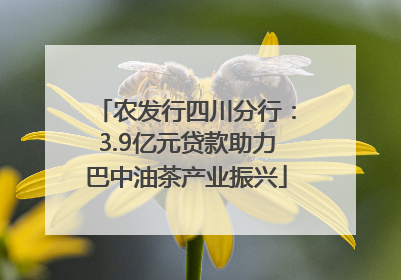 农发行四川分行：3.9亿元贷款助力巴中油茶产业振兴