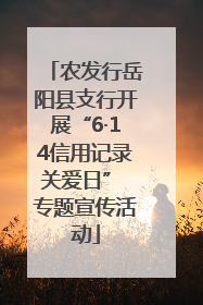 农发行岳阳县支行开展“6·14信用记录关爱日” 专题宣传活动