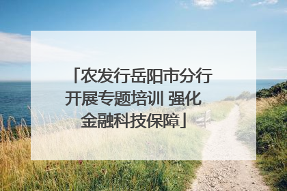 农发行岳阳市分行开展专题培训 强化金融科技保障
