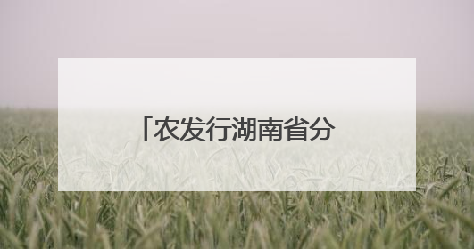 农发行湖南省分行：筑牢全民防非屏障 守护三湘百姓“钱袋子”