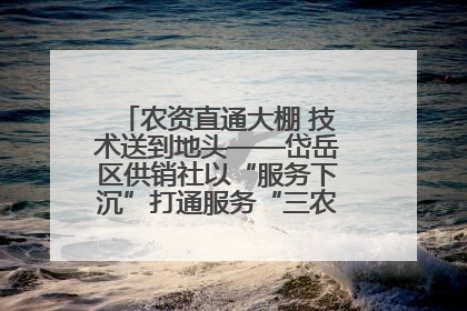 农资直通大棚 技术送到地头——岱岳区供销社以“服务下沉”打通服务“三农”最后一公里