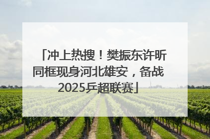冲上热搜！樊振东许昕同框现身河北雄安，备战2025乒超联赛