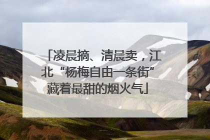 凌晨摘、清晨卖，江北“杨梅自由一条街”藏着最甜的烟火气