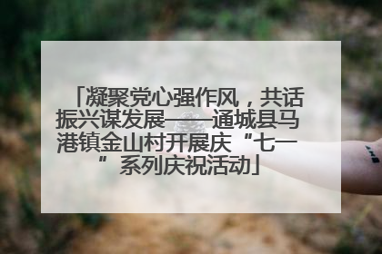凝聚党心强作风，共话振兴谋发展——通城县马港镇金山村开展庆“七一”系列庆祝活动