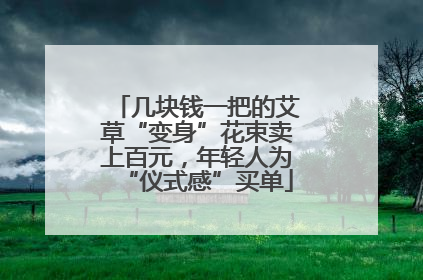 几块钱一把的艾草“变身”花束卖上百元，年轻人为“仪式感”买单