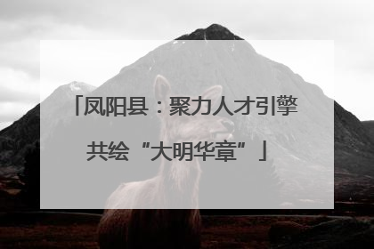 凤阳县：聚力人才引擎 共绘“大明华章”