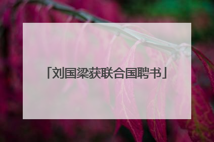 刘国梁获联合国聘书