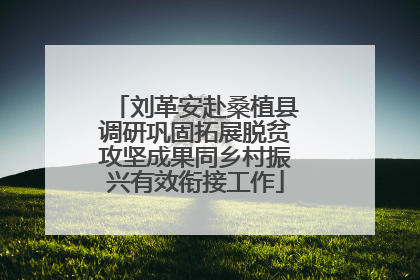 刘革安赴桑植县调研巩固拓展脱贫攻坚成果同乡村振兴有效衔接工作