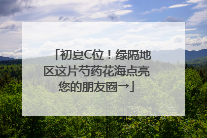 初夏C位！绿隔地区这片芍药花海点亮您的朋友圈→