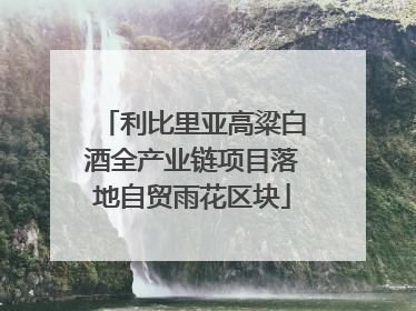 利比里亚高粱白酒全产业链项目落地自贸雨花区块