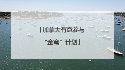 加拿大有意参与“金穹”计划