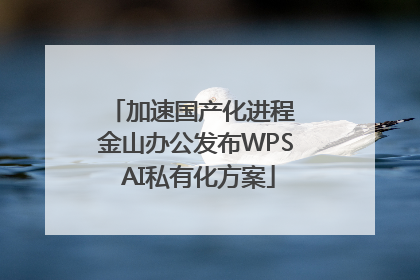 加速国产化进程 金山办公发布WPS AI私有化方案