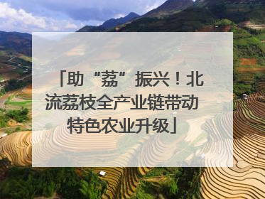 助“荔”振兴！北流荔枝全产业链带动特色农业升级