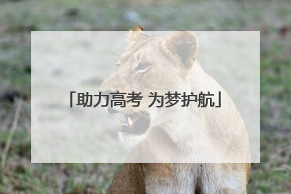 助力高考 为梦护航