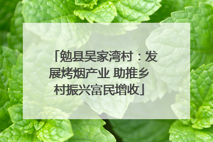 勉县吴家湾村：发展烤烟产业 助推乡村振兴富民增收
