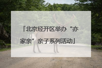 北京经开区举办“亦家亲”亲子系列活动