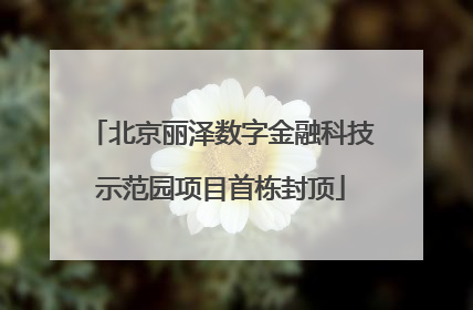 北京丽泽数字金融科技示范园项目首栋封顶