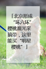 北京形成“环六环”樱桃观光采摘带，这里能买“明星樱桃”