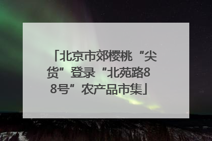 北京市郊樱桃“尖货”登录“北苑路88号”农产品市集