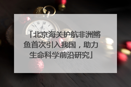 北京海关护航非洲鳉鱼首次引入我国，助力生命科学前沿研究
