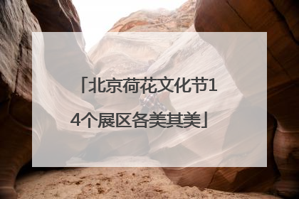 北京荷花文化节14个展区各美其美