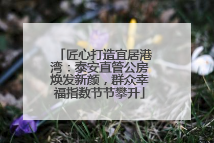 匠心打造宜居港湾：泰安直管公房焕发新颜，群众幸福指数节节攀升
