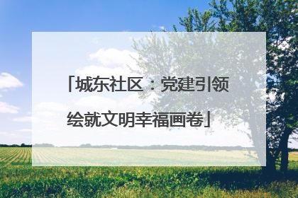城东社区：党建引领绘就文明幸福画卷