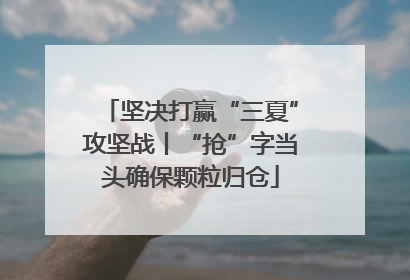 坚决打赢“三夏”攻坚战丨“抢”字当头确保颗粒归仓