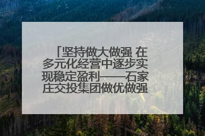 坚持做大做强 在多元化经营中逐步实现稳定盈利——石家庄交投集团做优做强典型报道之三
