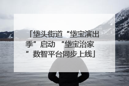 垡头街道“垡宝演出季”启动 “垡宝治家”数智平台同步上线